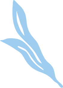 tori_leaf_left